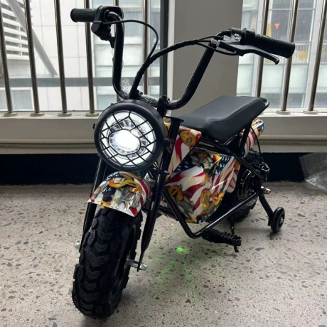 MINI SCOOTER 350W 36V MULTICOLOR RUBST ZIZ.R