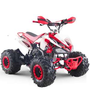 QUAD 125CC 4T AUTOMÁTICO – R8 PANTERA MARS