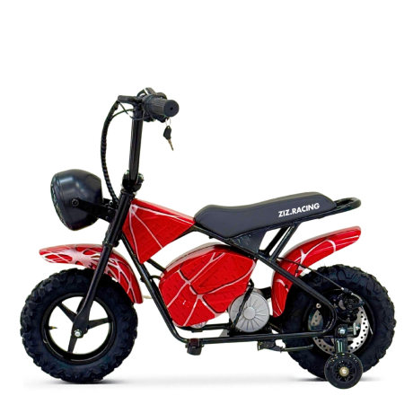 MINI SCOOTER 350W 36V MULTICOLOR RUBST ZIZ.R