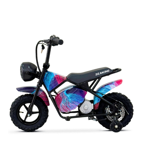 MINI SCOOTER 350W 36V MULTICOLOR RUBST ZIZ.R