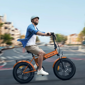 BICICLETA ELÉCTRICA EP-2 BOOST 250W 48V 13AH
