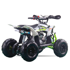 QUAD 110CC 4T AUTOMATICO REBEL MASTER RAPTOR R7